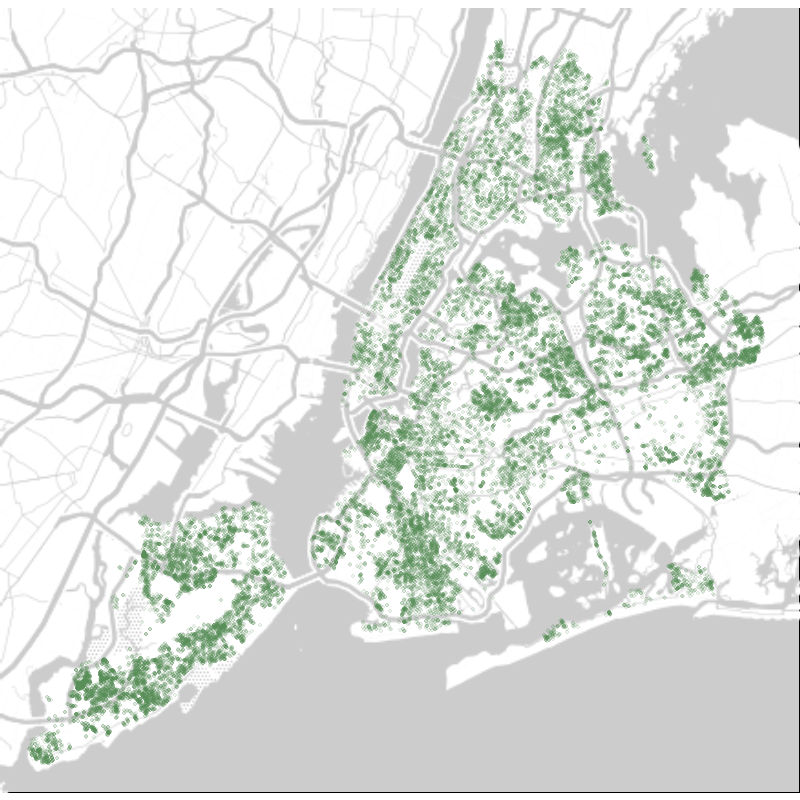 Oldest Street Trees in NYC