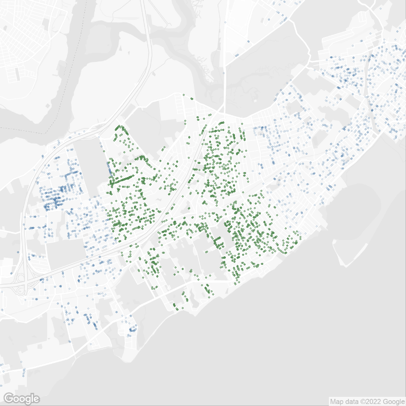 Oldest Street Trees in Staten Island, NY 10312