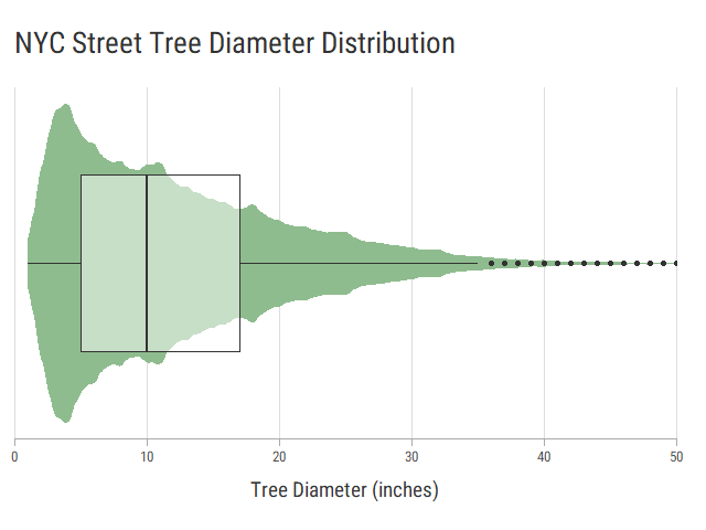 NYC Street Tree Diameter Distribution